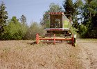 Claas Drescher 19